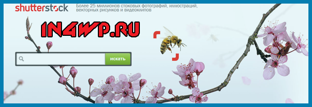 профессия фотограф title=
